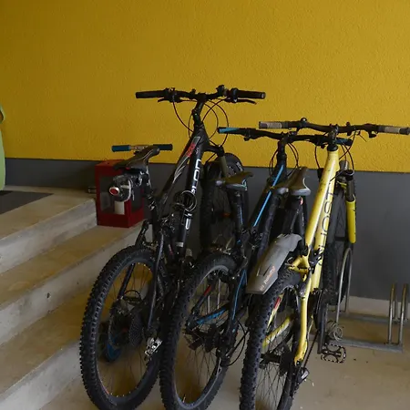 Leben Im Hafen Am Idyllischen Murtensee Guevaux