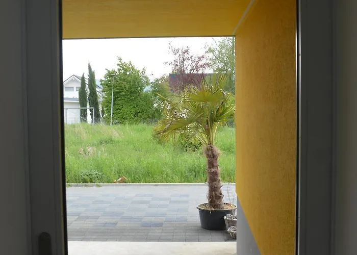 Leben Im Hafen Am Idyllischen Murtensee Guevaux